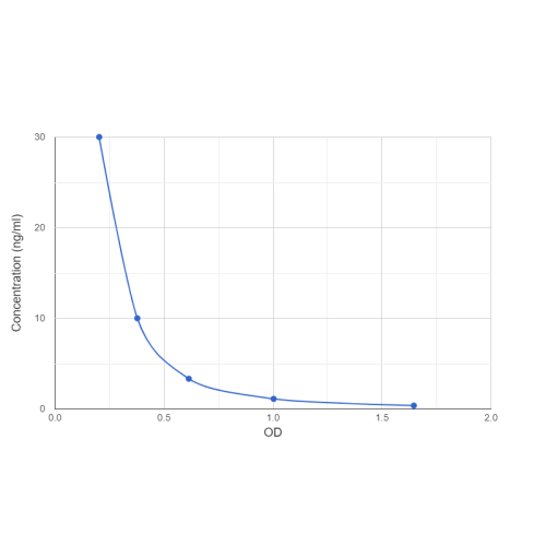 Testosterone Testing In Rat or Mouse ELISA Kit