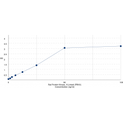 Graph showing standard OD data for Rat Protein Kinase, X-Linked (PRKX) 