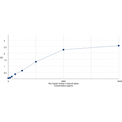 Graph showing standard OD data for Rat Casein Kinase 2 Alpha 1 (CSNK2A1) 