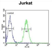 Claudin-22 (CLDN22) Antibody