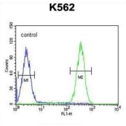 F-Box And WD Repeat Domain Containing 12 (FBXW12) Antibody