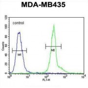 KPRA Antibody