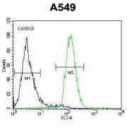 Leukocyte Immunoglobulin Like Receptor A2 (LILRA2) Antibody