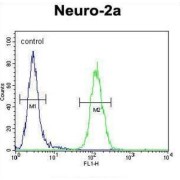 Epididymal-Specific Lipocalin-10 (LCN10) Antibody