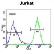 Transmembrane Gamma-Carboxyglutamic Acid Protein 3 (PRRG3) Antibody