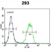 PCOTH Antibody