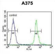 AL2SA Antibody