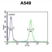 Transmembrane Protein 168 (TM168) Antibody