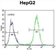 Ubiquitin Family Domain Containing 1 (UBFD1) Antibody