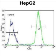 Proline Rich Transmembrane Protein 1 (PRRT1) Antibody