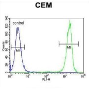 Nucleoside Diphosphate-Linked Moiety X Motif 22 (NUDT22) Antibody