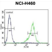 t-SNARE Domain-Containing Protein 1 (TSNARE1) Antibody