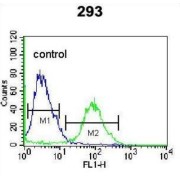 Olfactory Receptor 4F15 (OR4F15) Antibody