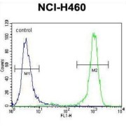 Acetylcholine Receptor Subunit Delta (CHRND) Antibody