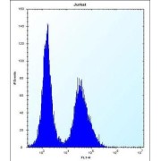 Putative Neuroblastoma Breakpoint Family Member 5 (NBPF5) Antibody