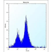 Peroxisomal Biogenesis Factor 14 (PEX14) Antibody