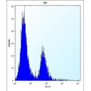 Carbonic Anhydrase 1 (CA1) Antibody