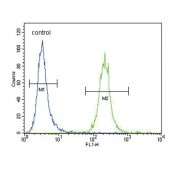 Iron-Responsive Element Binding Protein 2 (IREB2) Antibody