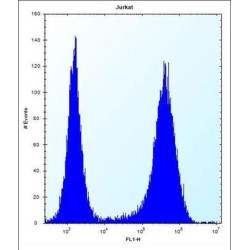 Speckle-Type POZ Protein-Like (SPOPL) Antibody