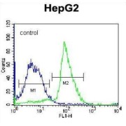 Serum Paraoxonase/arylesterase 2 (PON2) Antibody