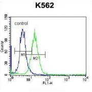 Histone Cluster 1, H2ab (HIST1H2AB) Antibody