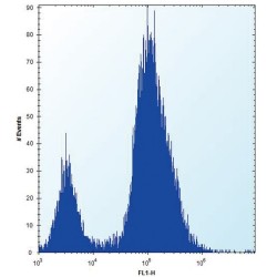 Alkaline Phosphatase, Tissue-Nonspecific Isozyme (ALPL) Antibody