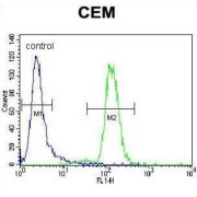 Disrupted In Schizophrenia 1 Protein (DISC1) Antibody