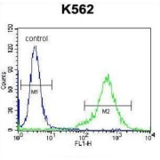 Prolactin (PRL) Antibody