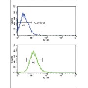 Toll Like Receptor 2 (TLR2) Antibody