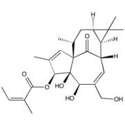 Ingenol-3-angelate