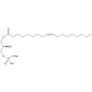 LPA (Oleyl)