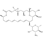 Pimaricin (Natamycin)