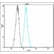 Flow cytometric analysis of human peripheral blood lymphocytes. Blood cells were fixed, permeabilized and stained with anti-human c-FOS FITC (blue, 10 µl per test) or with an isotype control (black).
