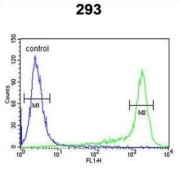 Peroxiredoxin 6 (PRDX6) Antibody