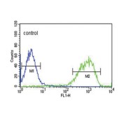 Epiregulin (EREG) Antibody