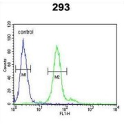 DEAD (Asp-Glu-Ala-Asp) Box Polypeptide 23 (DDX23) Antibody