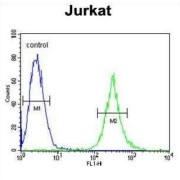 Centromere Protein S (APITD1) Antibody