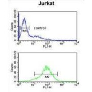 Ankyrin Repeat Domain-Containing Protein 49 (ANR49) Antibody