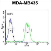 Acid Trehalase-Like Protein 1 (ATHL1) Antibody