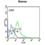 Rho GTPase-Activating Protein 30 (ARHGAP30) Antibody