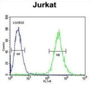 GLRX5 Antibody