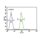 S100 Calcium Binding Protein B (S100B) Antibody