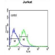 Perilipin-2 (PLIN2) Antibody