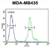 F-Box And Leucine-Rich Repeat Protein 14 (FBXL14) Antibody