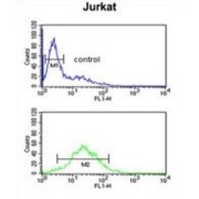 Trafficking Protein Particle Complex Subunit 6A (TPC6A) Antibody