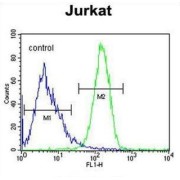 CC106 Antibody