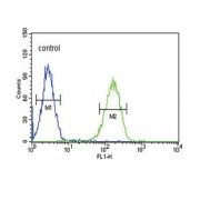 Calcium Voltage-Gated Channel Auxiliary Subunit Alpha2delta 4 (CACNA2D4) Antibody