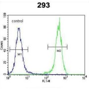 OTU Domain Containing 6B (OTUD6B) Antibody