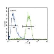 RAS Guanyl-Releasing Protein 1 (RASGRP1) Antibody