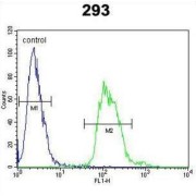 Protachykinin-1 (TAC1) Antibody